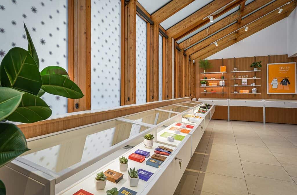 8 Things to Consider When Choosing a Cannabis Display Case